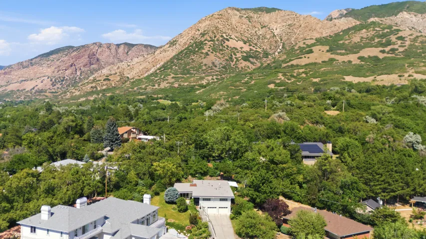 Contemporary residence with an attached garage, a paved driveway, and established landscaping