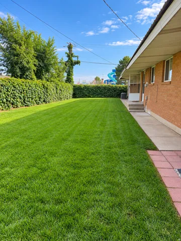 Expansive backyard with a manicured lawn, established privacy hedges, brick exterior, and a concrete pathway leading to a rear entrance