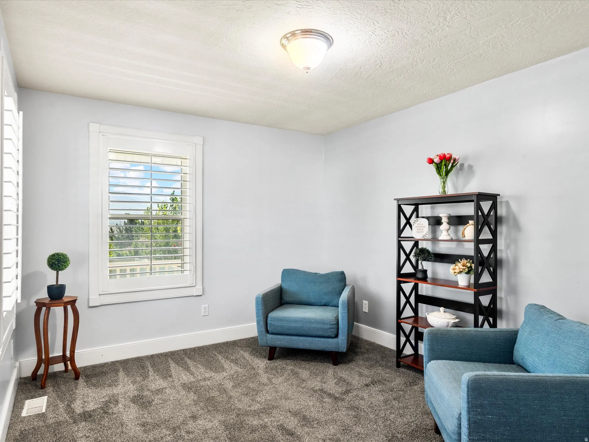 Window with plantation shutters, light blue painted walls, textured ceiling, flush mount ceiling light, and gray carpeting