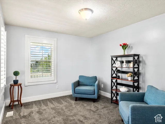 Window with plantation shutters, light blue painted walls, textured ceiling, flush mount ceiling light, and gray carpeting