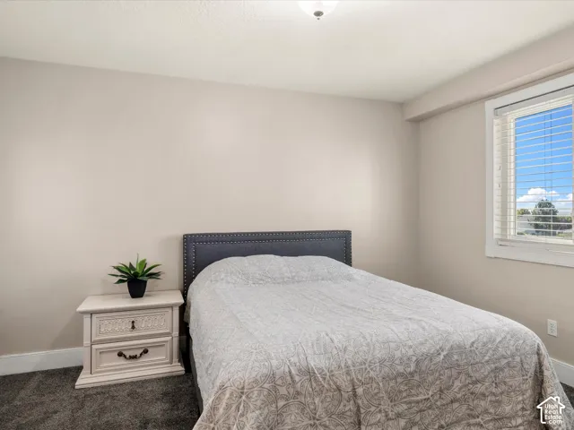 Window with blinds, light-colored walls, and carpet flooring