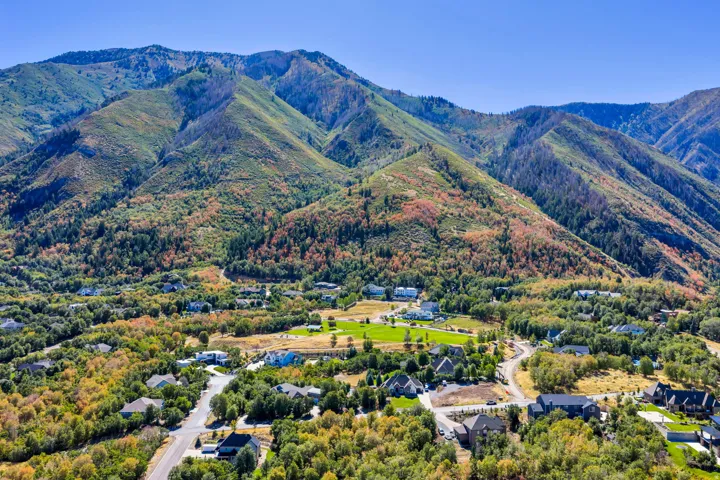 Mountainous backdrop with expansive natural landscaping and residential properties