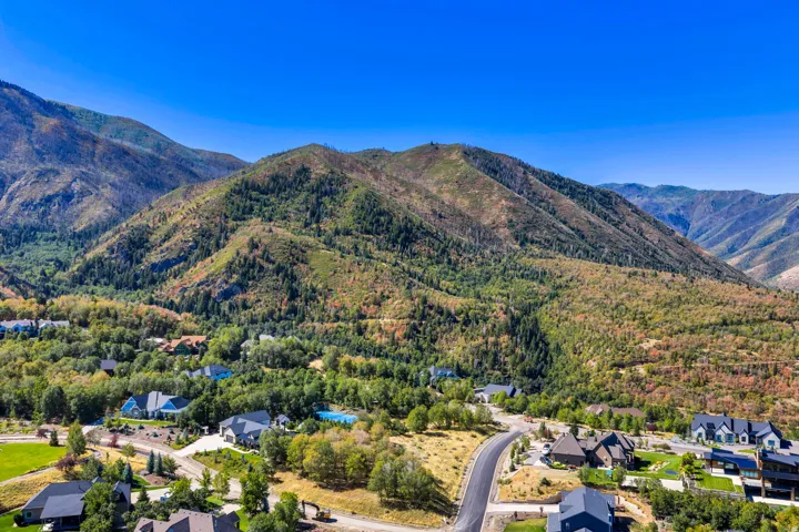Mountainous terrain with natural vegetation surrounding a residential area, including a paved road and established homes