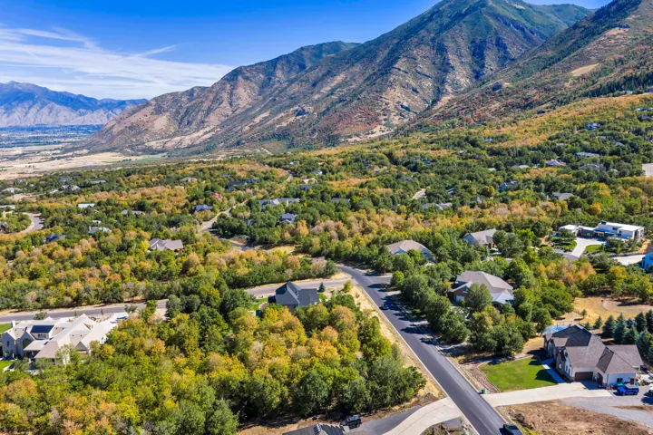 Mountainous backdrop with expansive natural foliage