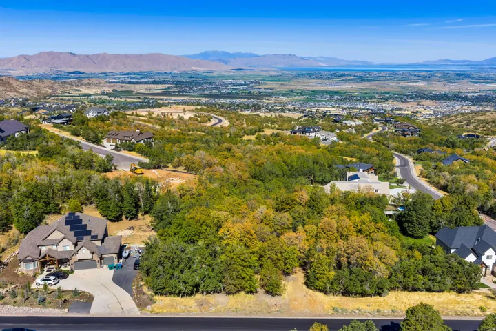 Expansive residential area with a prominent mountain backdrop, surrounding mature trees, and paved roadways