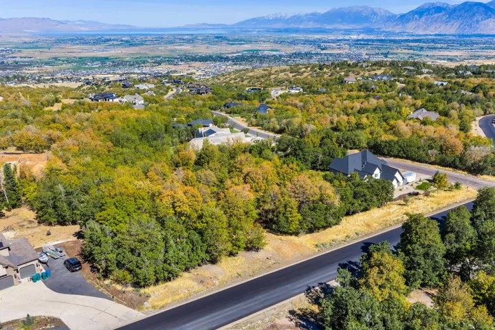 Expansive lot with mature trees and paved road frontage