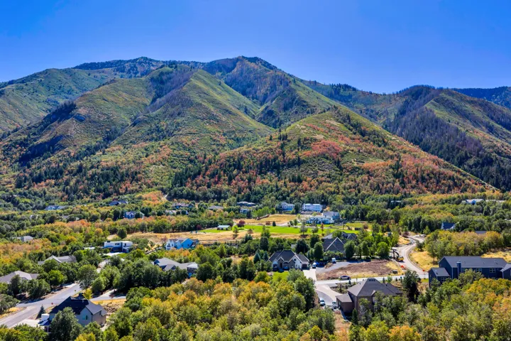 Mountainous terrain with natural foliage