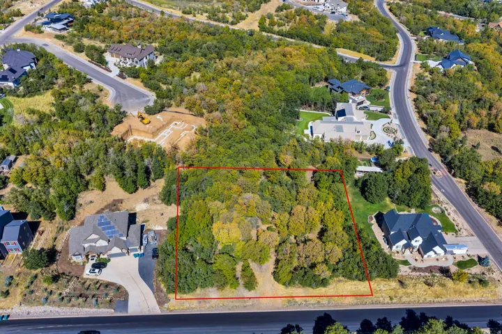 Expansive wooded lot with mature trees