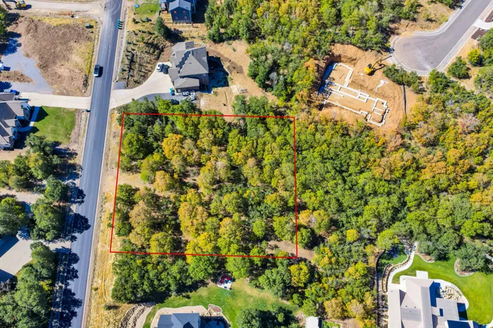 Wooded lot with mature trees and direct road frontage