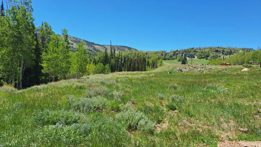 Expansive grassy terrain with varied foliage