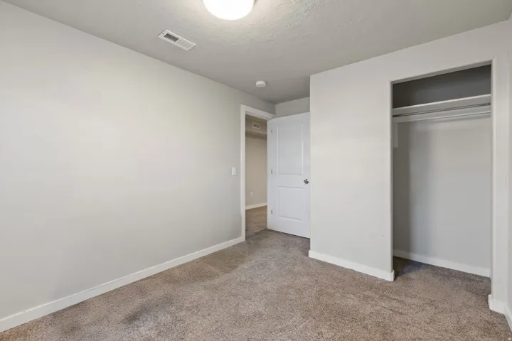 Carpeted flooring, white trim, recessed closet with hanging rod, and a white paneled door