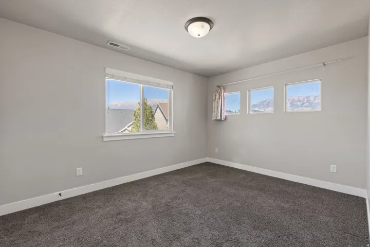Soft gray wall paint with white trim, gray carpet, multiple windows, and a flush mount ceiling light