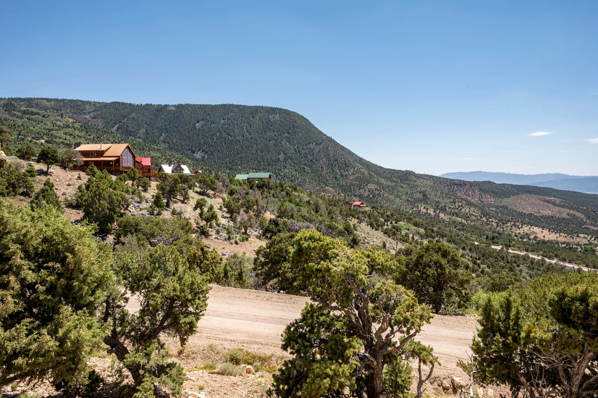 Mountainous terrain with evergreen trees and multiple structures