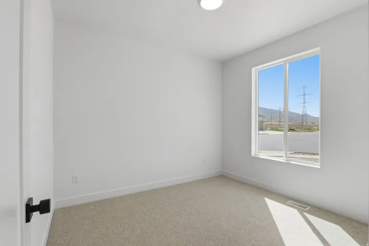 Neutral-toned carpeting paired with white walls, featuring a white door with black hardware and a flush-mount ceiling light