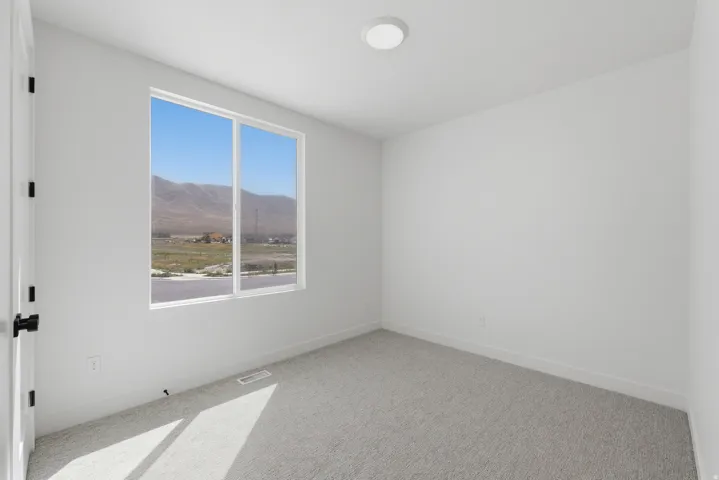 Neutral wall paint, carpeted flooring, and a large window