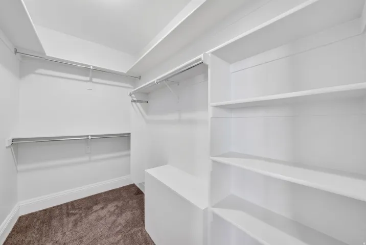 Expansive walk-in closet featuring white built-in shelving, chrome hanging rods, and plush carpeting