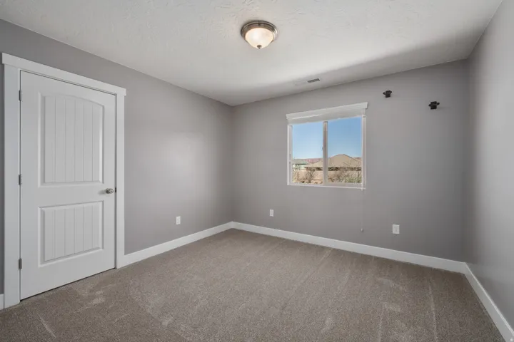Neutral gray wall paint, textured carpeting, white trim, single window, and a flush-mount ceiling light