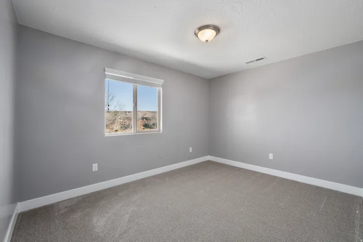 Neutral gray wall color, textured carpeting, overhead flush mount light fixture, and a window with roller shade