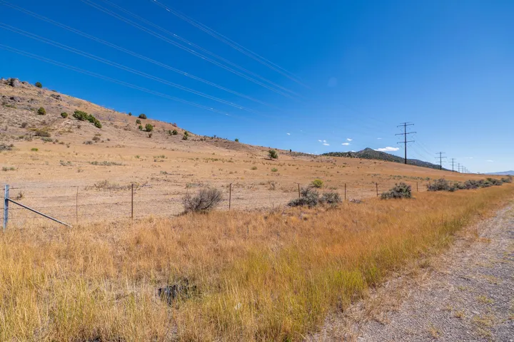 Expansive undeveloped land featuring a gentle slope, diverse natural vegetation, and a clear sky