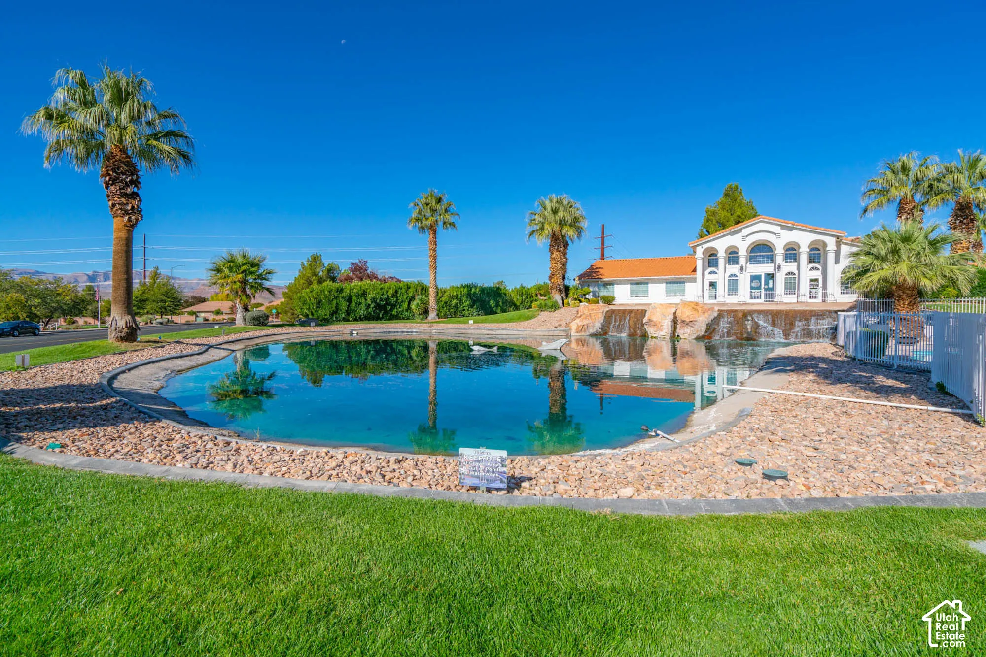 Expansive grassy lawn with a large pond featuring a stone and gravel border, surrounded by mature palm trees