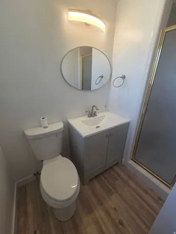 Wood-finish flooring, a contemporary vanity with an integrated sink, an oval wall mirror, and a shower stall with a frosted glass door