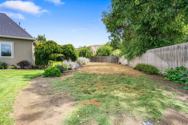 Spacious backyard featuring a partial lawn, mature perimeter trees, and a privacy fence