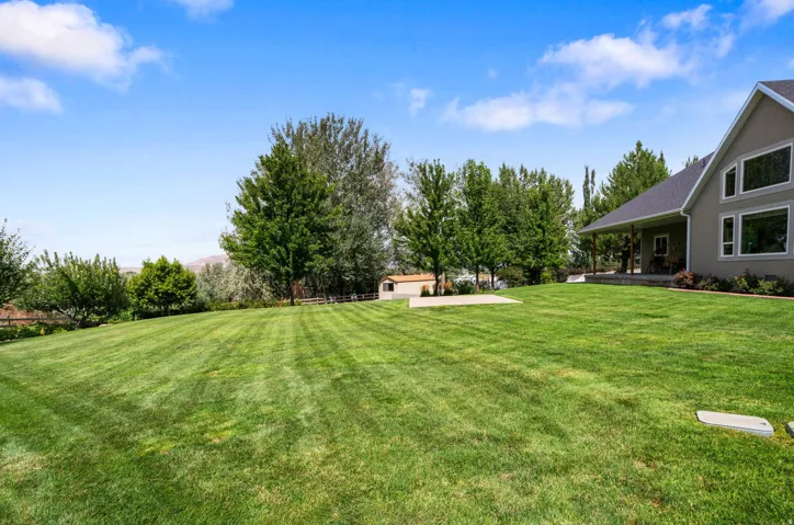 Expansive green lawn with mature trees, a detached storage shed, a concrete patio area, and a covered porch