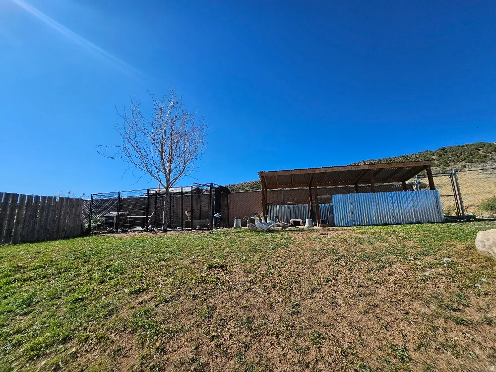 Fenced area with chain-link and wood perimeter, featuring a covered structure with a corrugated metal roof and corrugated metal siding