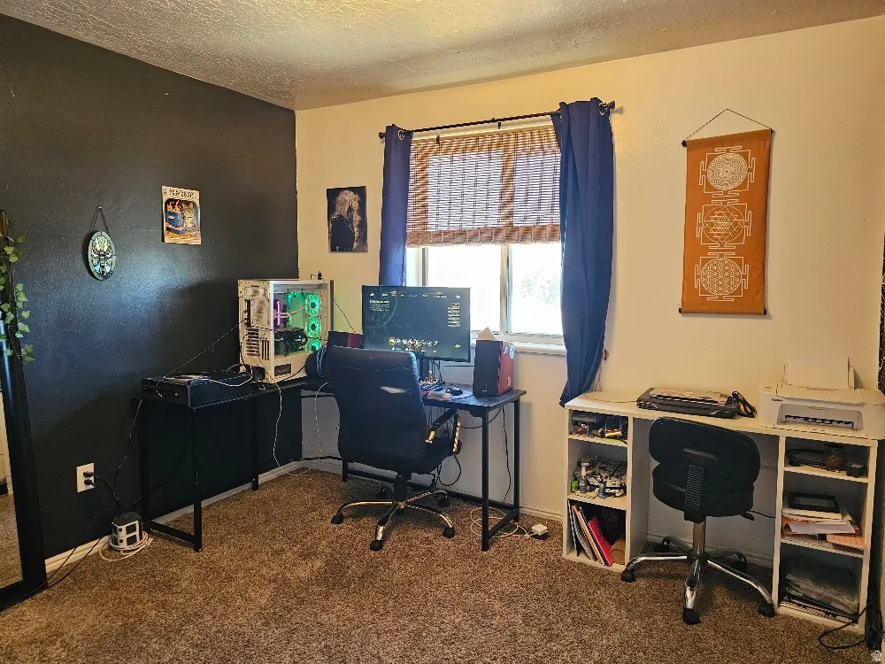 Carpeted flooring, multi-toned wall paint, and a window with blinds