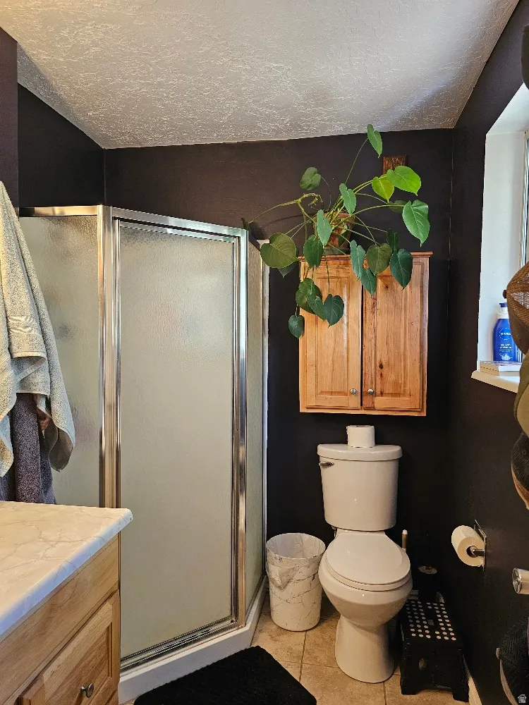 Shower enclosure with frosted glass and chrome trim, wood-finish vanity with a stone-finish countertop, and a wall-mounted wood-finish cabinet
