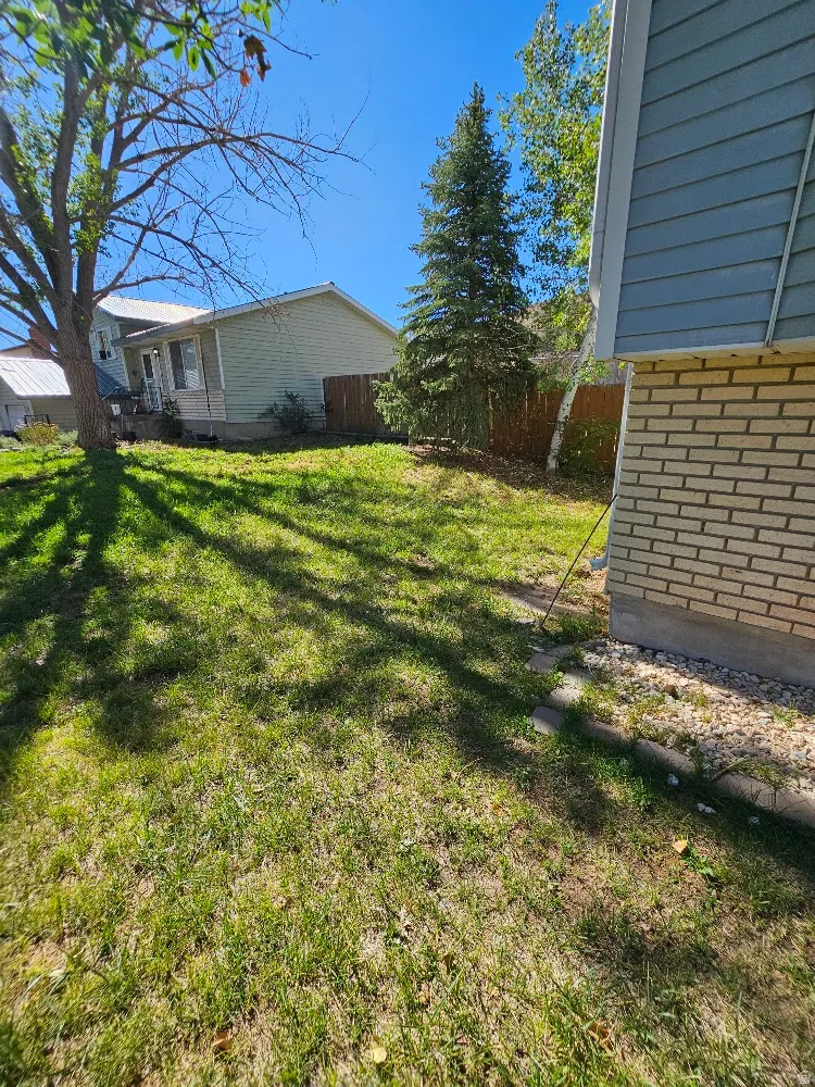 Expansive grassy yard area with mature trees and wood fencing