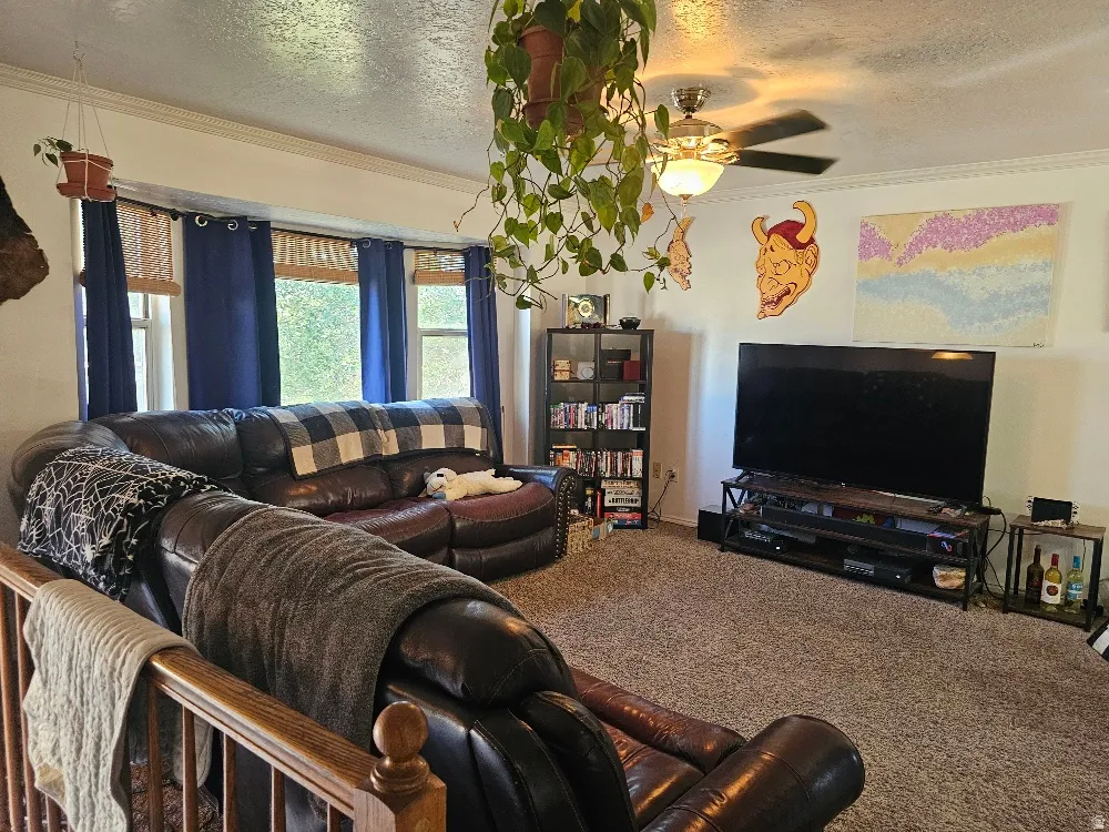 Carpeted living area featuring a ceiling fan with integrated lighting, crown molding, and bay windows