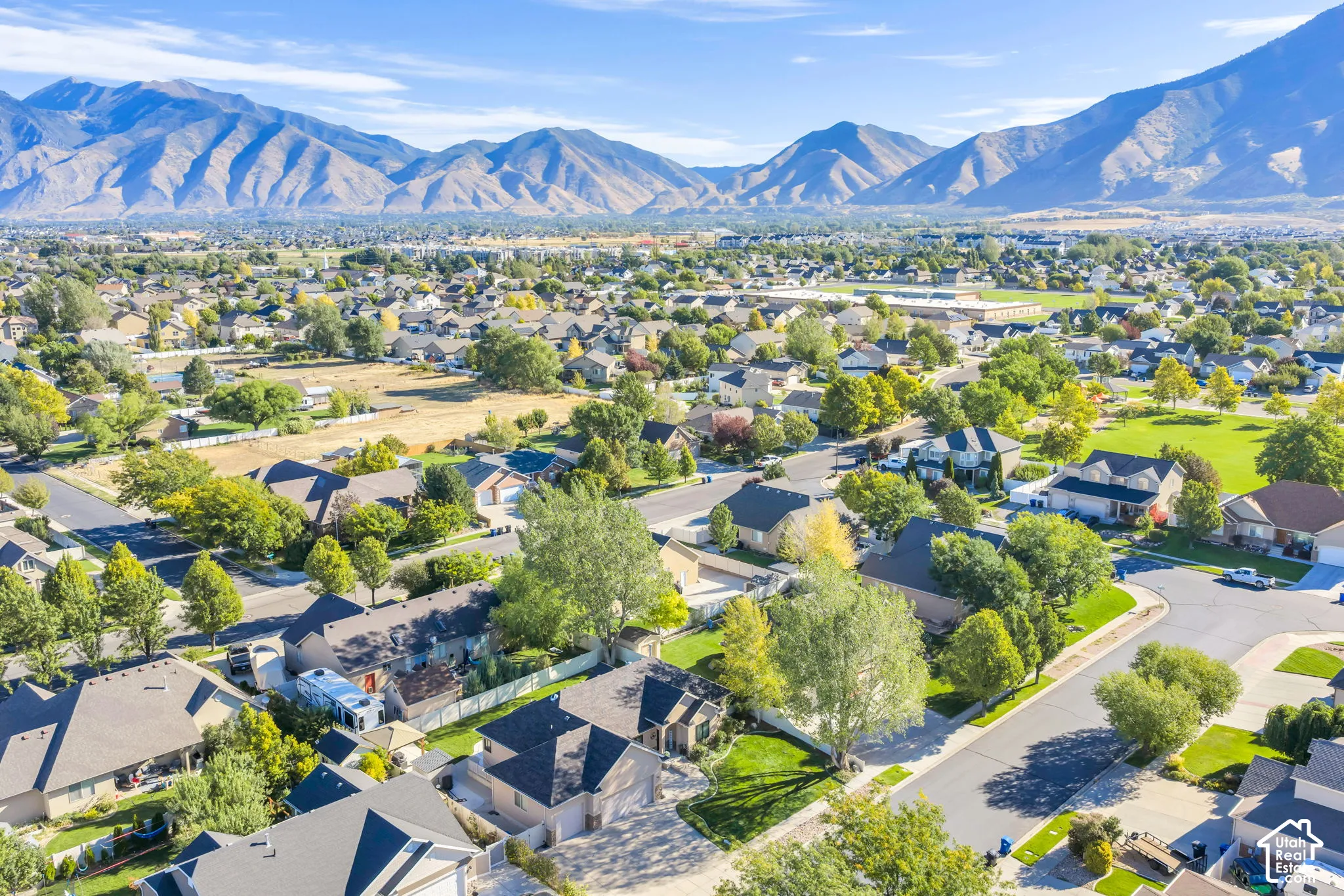 Expansive neighborhood setting featuring mature trees, paved streets, and mountain backdrop