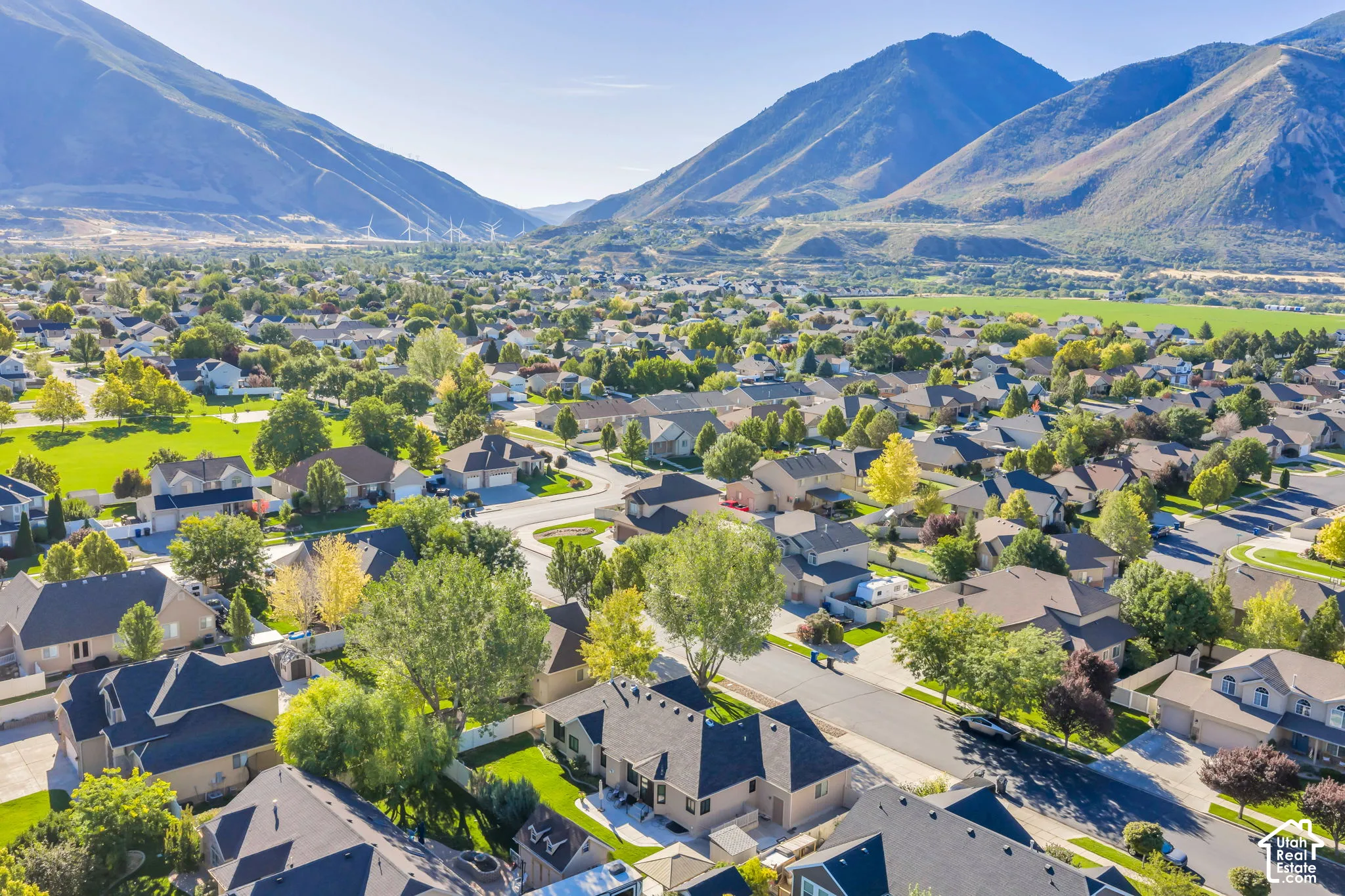 Residential neighborhood with established trees, mountain backdrop, and green spaces