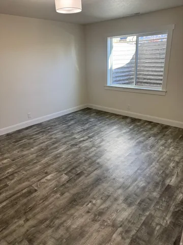 Vinyl flooring, white trim, and a flush-mount ceiling fixture