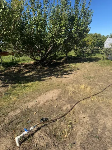 Mature trees with extensive canopy and an integrated irrigation system