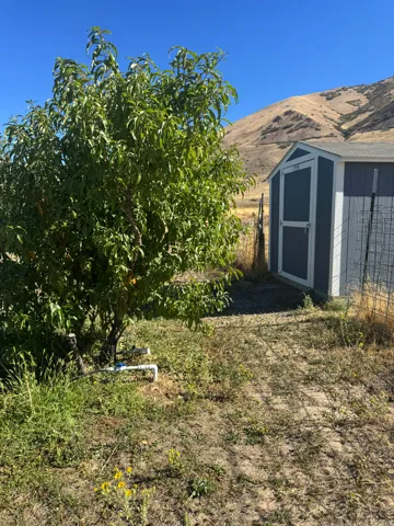 Detached storage shed with a gable roof and panel siding, set against a mountain backdrop