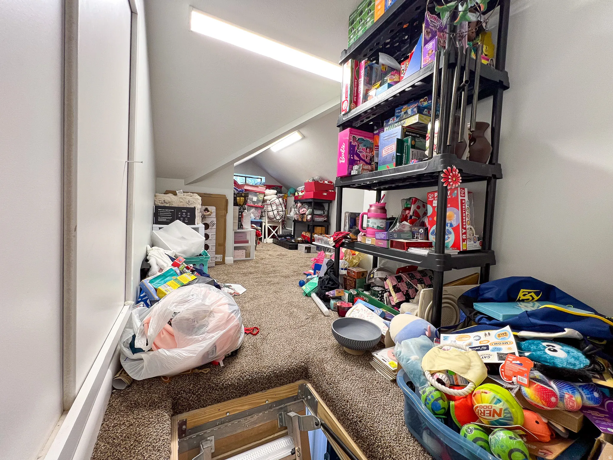 Finished Attic Storage with drop down ladder
