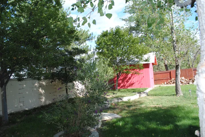 Expansive backyard featuring a manicured lawn, established trees, and a red auxiliary structure with a white roof