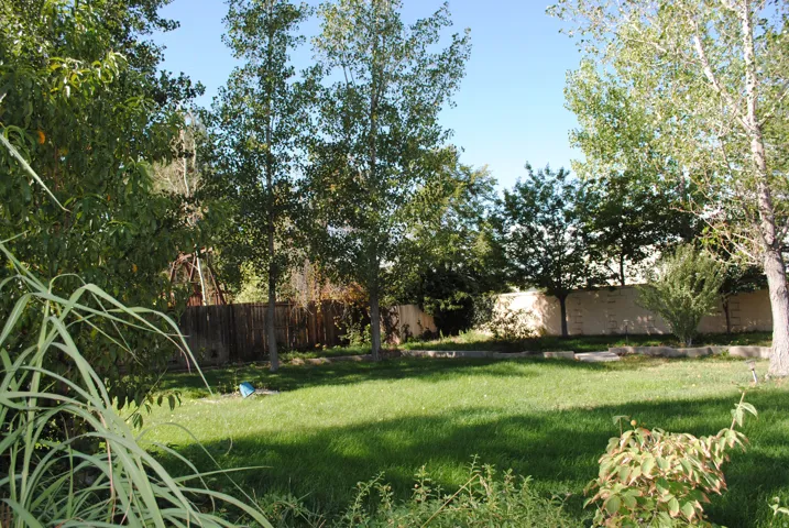 Expansive lawn area with mature trees, established shrubbery, and perimeter fencing