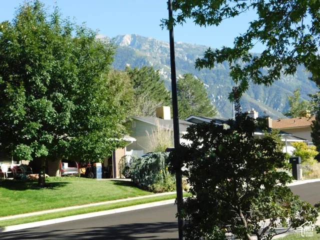 East Mountain Views
