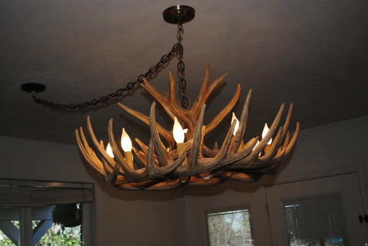 Antler-style chandelier with multiple candle-style lights, suspended by a metal chain