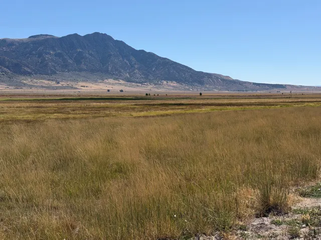 8800 W 24600 N, Portage, Utah 84331