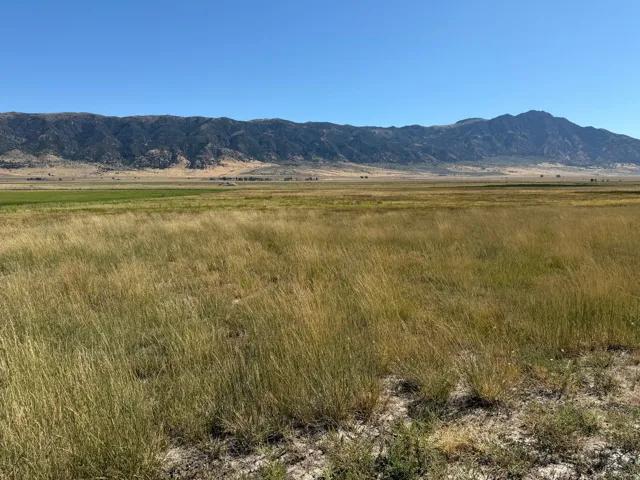 8800 W 24600 N, Portage, Utah 84331