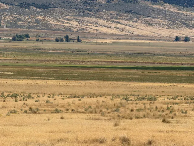 8800 W 24600 N, Portage, Utah 84331