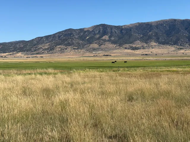 8800 W 24600 N, Portage, Utah 84331