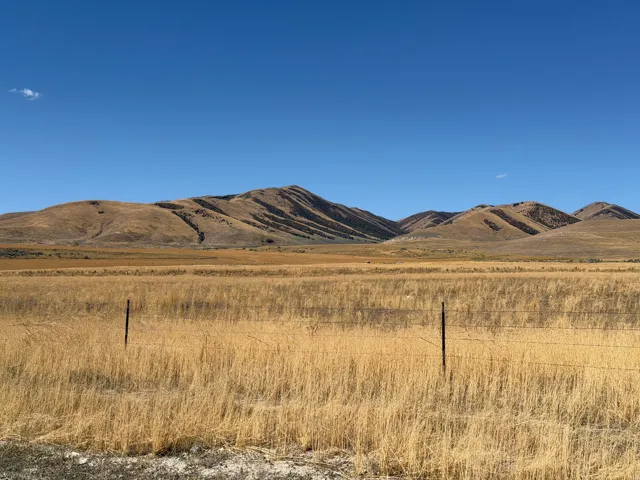 8800 W 24600 N, Portage, Utah 84331
