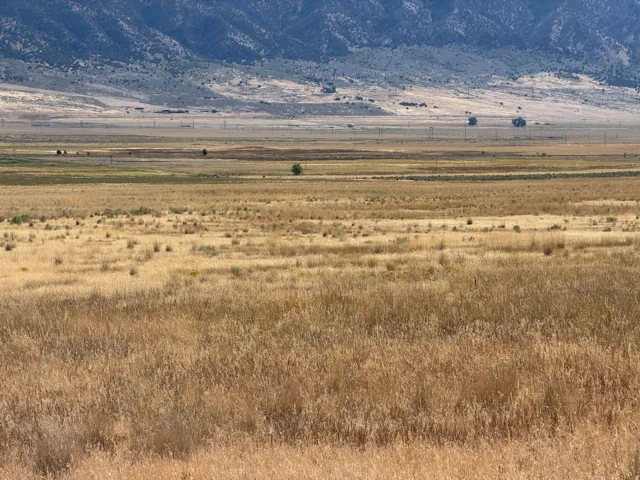8800 W 24600 N, Portage, Utah 84331