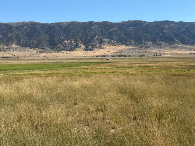 8800 W 24600 N, Portage, Utah 84331