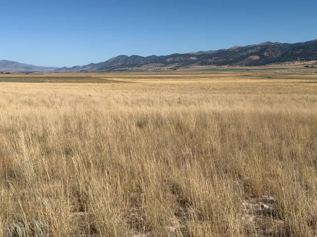 8800 W 24600 N, Portage, Utah 84331